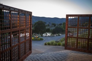 quantumlimitvineyard