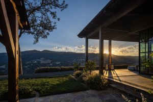 quantumlimitvineyard