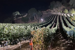 Quantum-Gallery-16