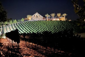 harvest-2021